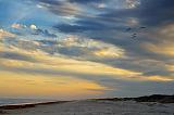 Gulf Beach At Sunset_42540